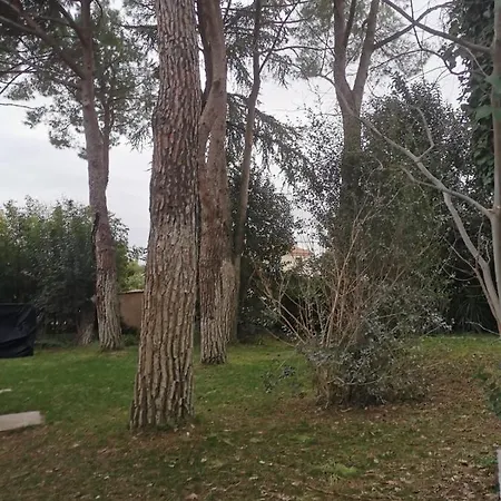 Exceptionnelle Quartier Calme. Prestations Completes Et Haut De Gamme Villa Montpellier